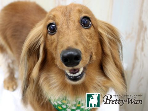 IMG_0362 - コピー