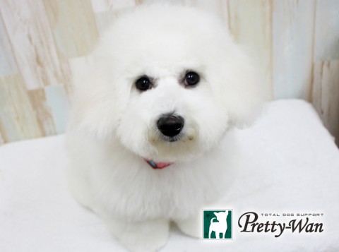 ウスイウル160508