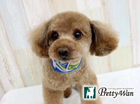 タカハシココ160518