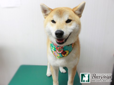 ヨシカワサブロウ151231