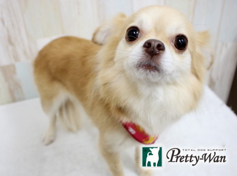 フルタピノ160605