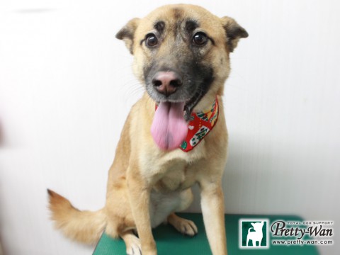 フクダララ151223