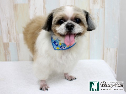 クリハラサブ160210