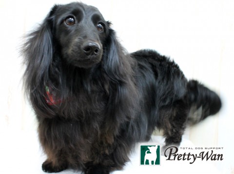 ツルタイヴ160326