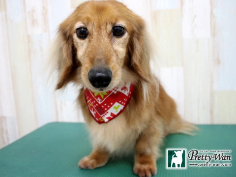 カワモトザンセツ160125