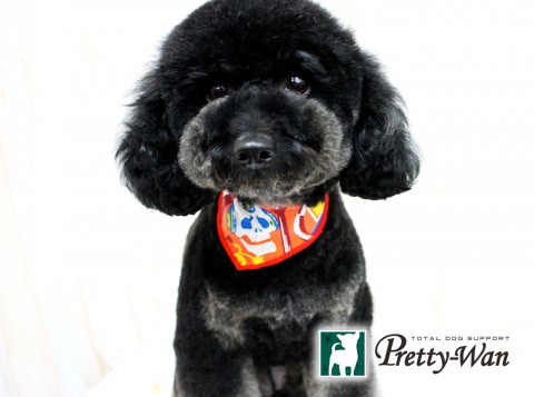 ワタカベヒナ160509