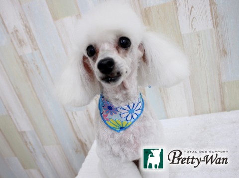 ノムラジョン160612