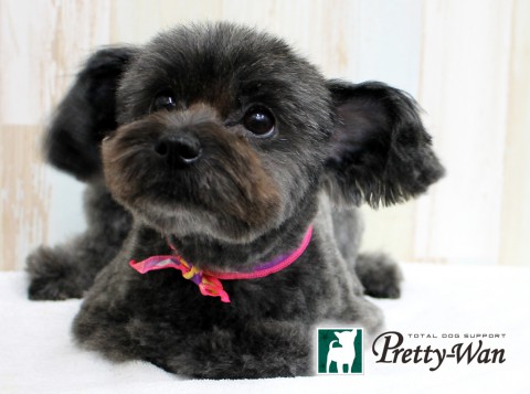 ハラダハンナ160406