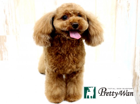 イトウジェミー160509