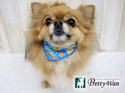 イケダジュニア160605