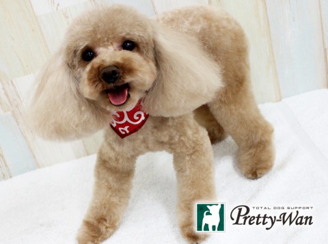 ムラセアリス160521