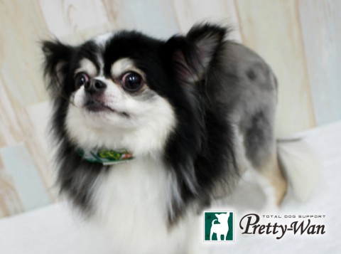 イケダマル160523