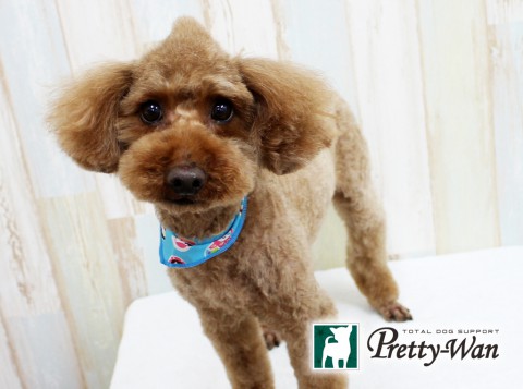 ゴトウモカ160408