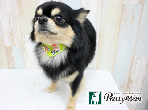 ミウラリュウ160315