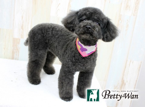 ナガタクウ160305