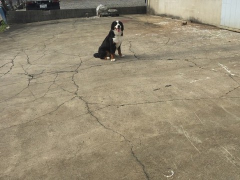 ミエル151023 (2)