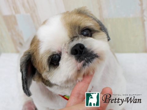 %e3%82%b3%e3%83%b3%e3%83%89%e3%82%a6%e3%83%81%e3%83%a7%e3%83%ad161125