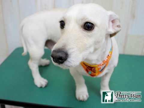 イシハラシュン160126