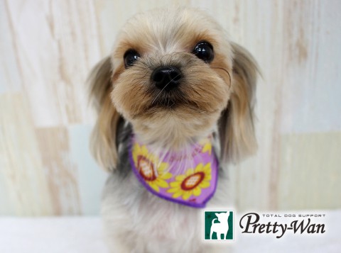 ゴトウココ160622