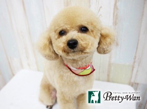 ワタナベクレープ160413