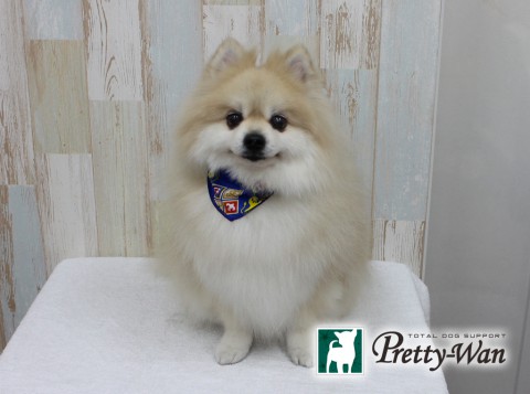 オダマメタロウ