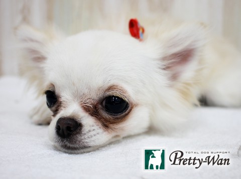 カトウモネ160410