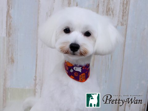 %e3%83%a4%e3%83%9e%e3%83%a2%e3%83%88%e3%82%bd%e3%83%a9160930