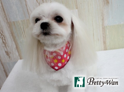 イマイリン160610