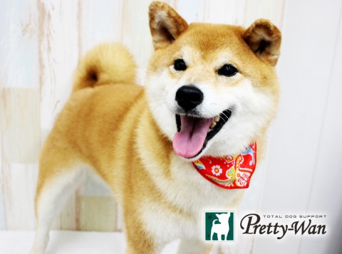 イワモトリオ160509