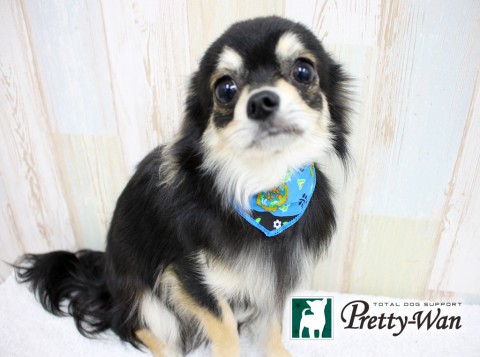 カンダルーク160502