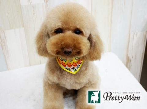 タルタニアンジュ160605