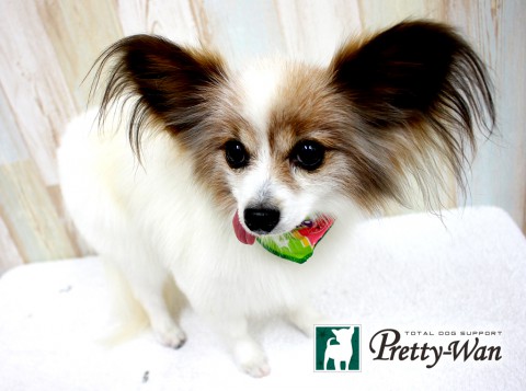 ニシカワカワナ160511