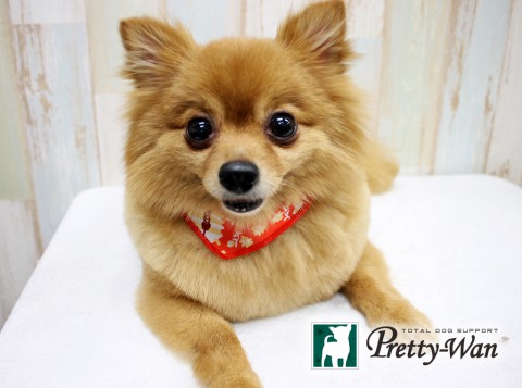 ヒガシダラム160508