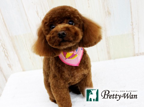 カタオカララ160613