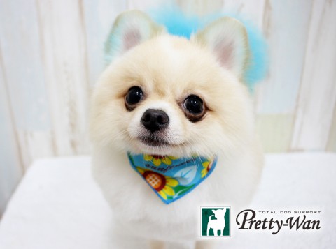 ドドムサシ160618