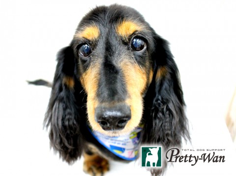 イケダアポロ160430