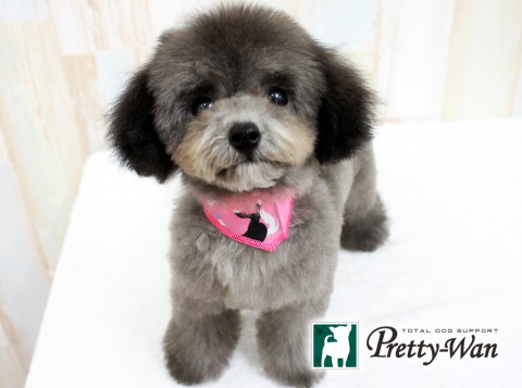 フセヤモモ160409