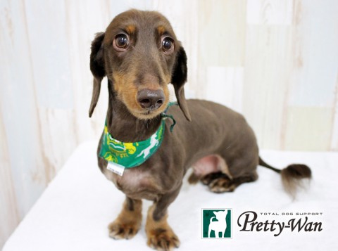 ナガヤラルフ160605