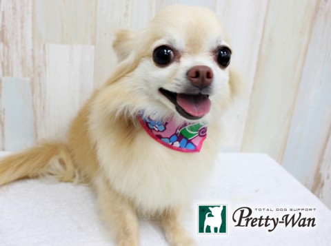 イシダラブ160531