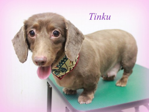 ハットリティンク150525