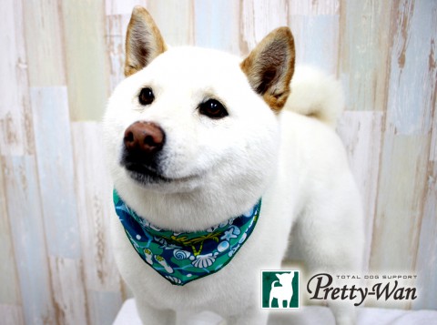 エサキハチ160429