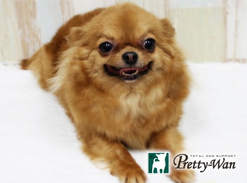 ケンジョウラブ169512