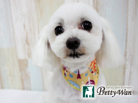 エサキマル160611