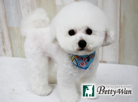 オガワテテ160423