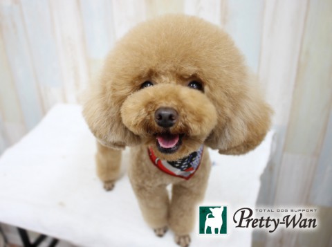 キタミジョン160416