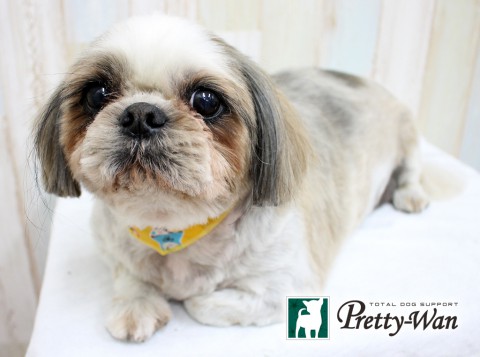 ニシムラトッポ160302