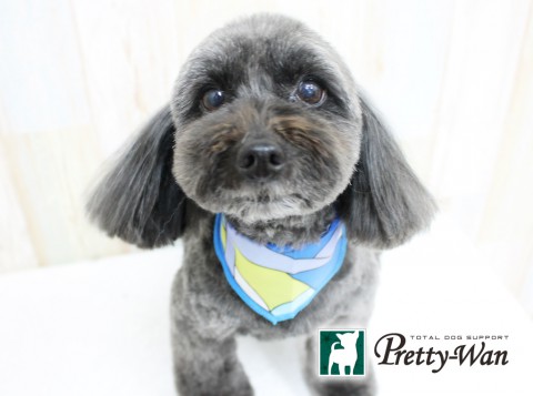 サイトウルーク160410