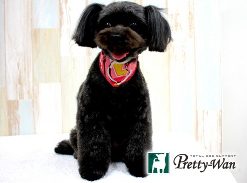 タルタニベア160501