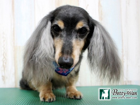 カワモトコウセツ160125