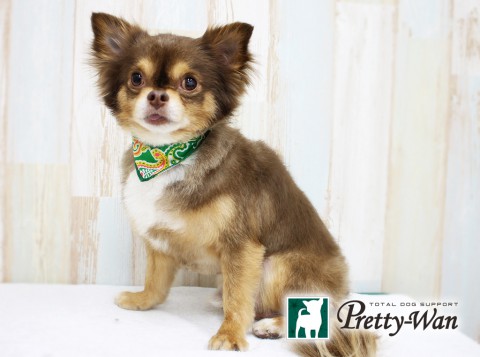 タカハシチロル160420